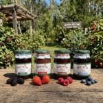 Pack Berries Stevia